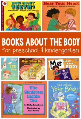 5628b5f46b856ab6663b4c1e3da01a4b